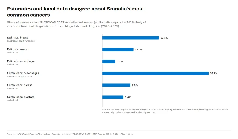 Bar chart comparing the top cancers: GLOBOCAN 2022 estimates rank breast cancer first at 19.8% of new cases and oesophageal cancer fifth at 4.5%; a 2026 study of diagnostic-centre records in Mogadishu and Hargeisa found oesophageal cancer first at 37.2% and breast cancer second at 9.8%.