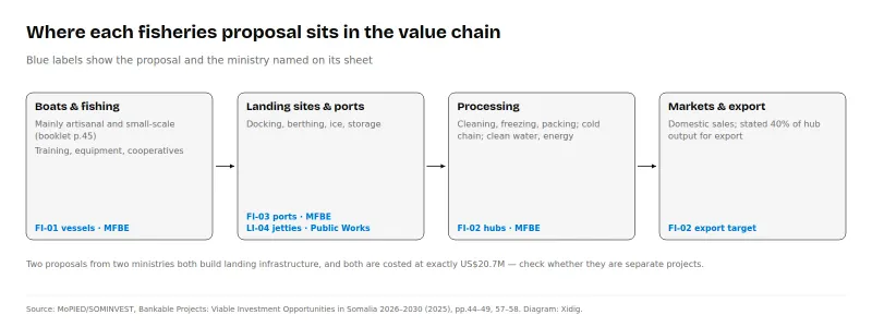 Four-stage fisheries value chain showing where each proposal sits: vessels, landing sites and ports, processing hubs, and markets and export.