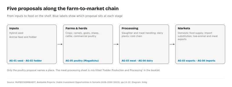 Four-stage farm-to-market diagram showing inputs (seed, fodder), farms and herds (poultry), processing (meat, dairy) and markets (exports, import substitution).